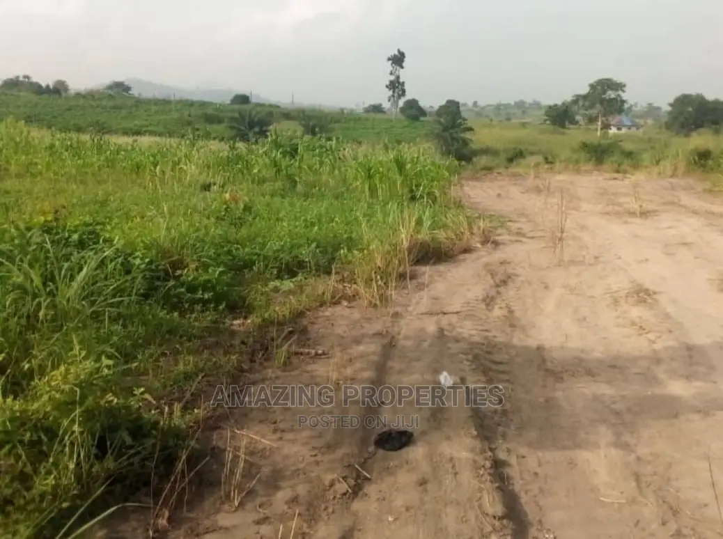 100/70 Plots of Land at Adjirigarnor in Adjiriganor