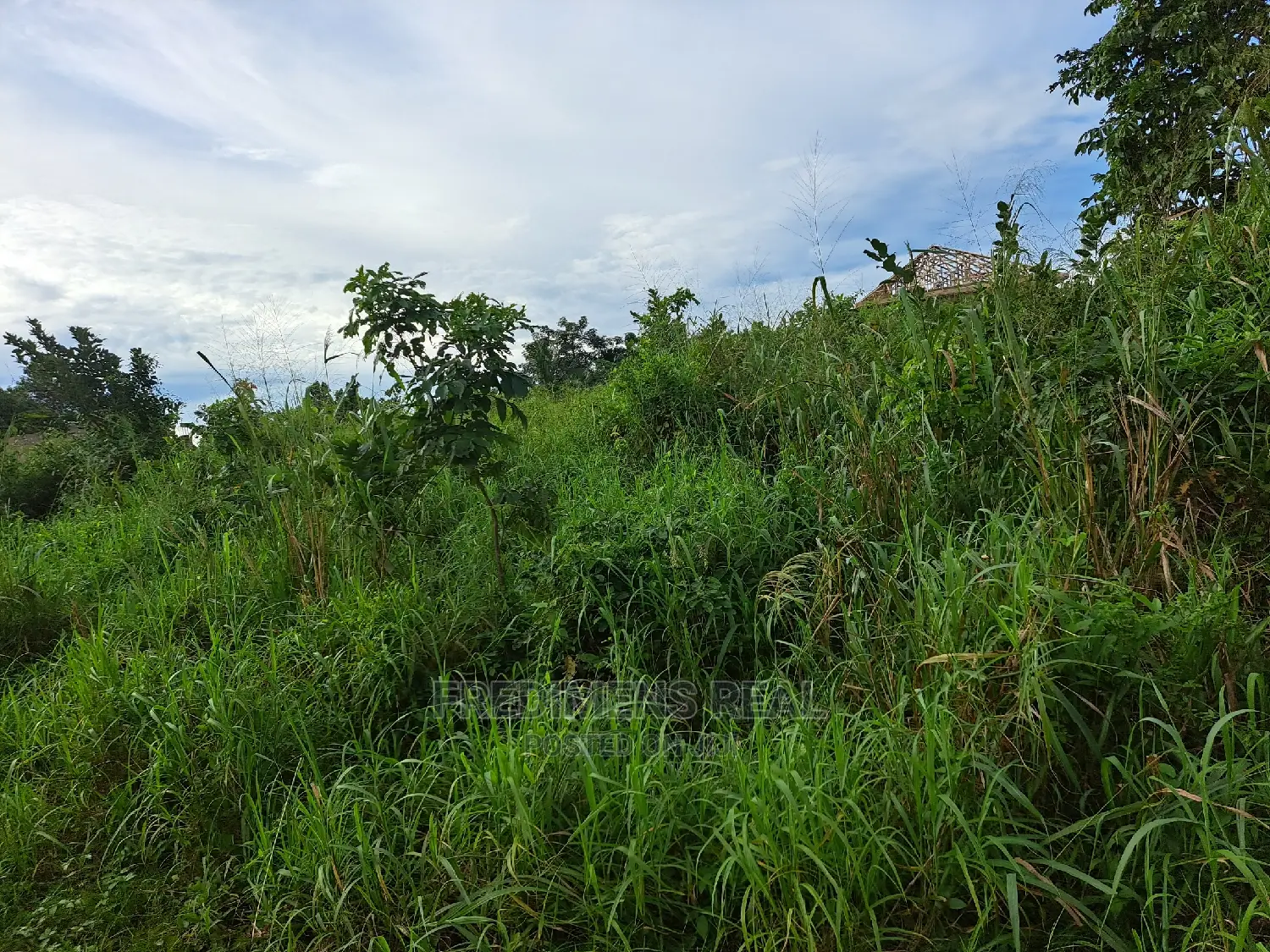 A Land at Antoa for Sale in Kumasi Metropolitan