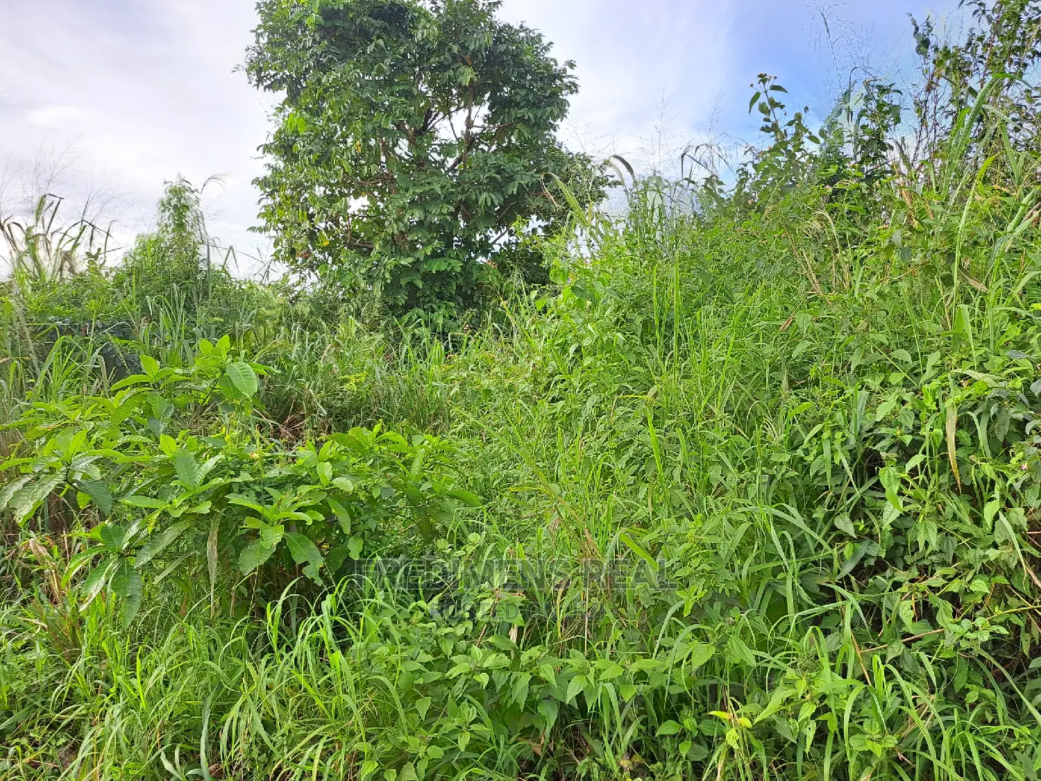A Land at Antoa for Sale in Kumasi Metropolitan