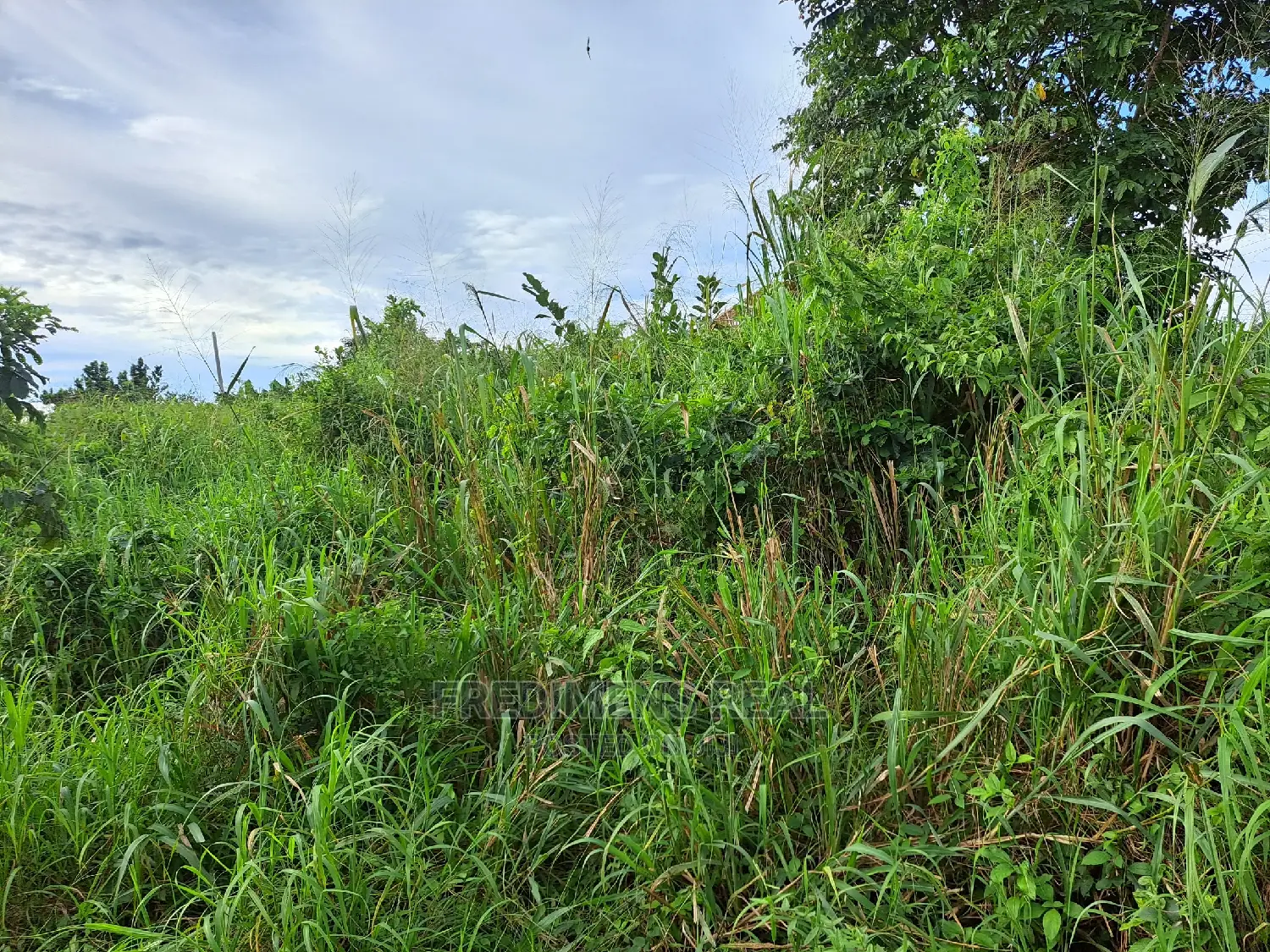 A Land at Antoa for Sale in Kumasi Metropolitan