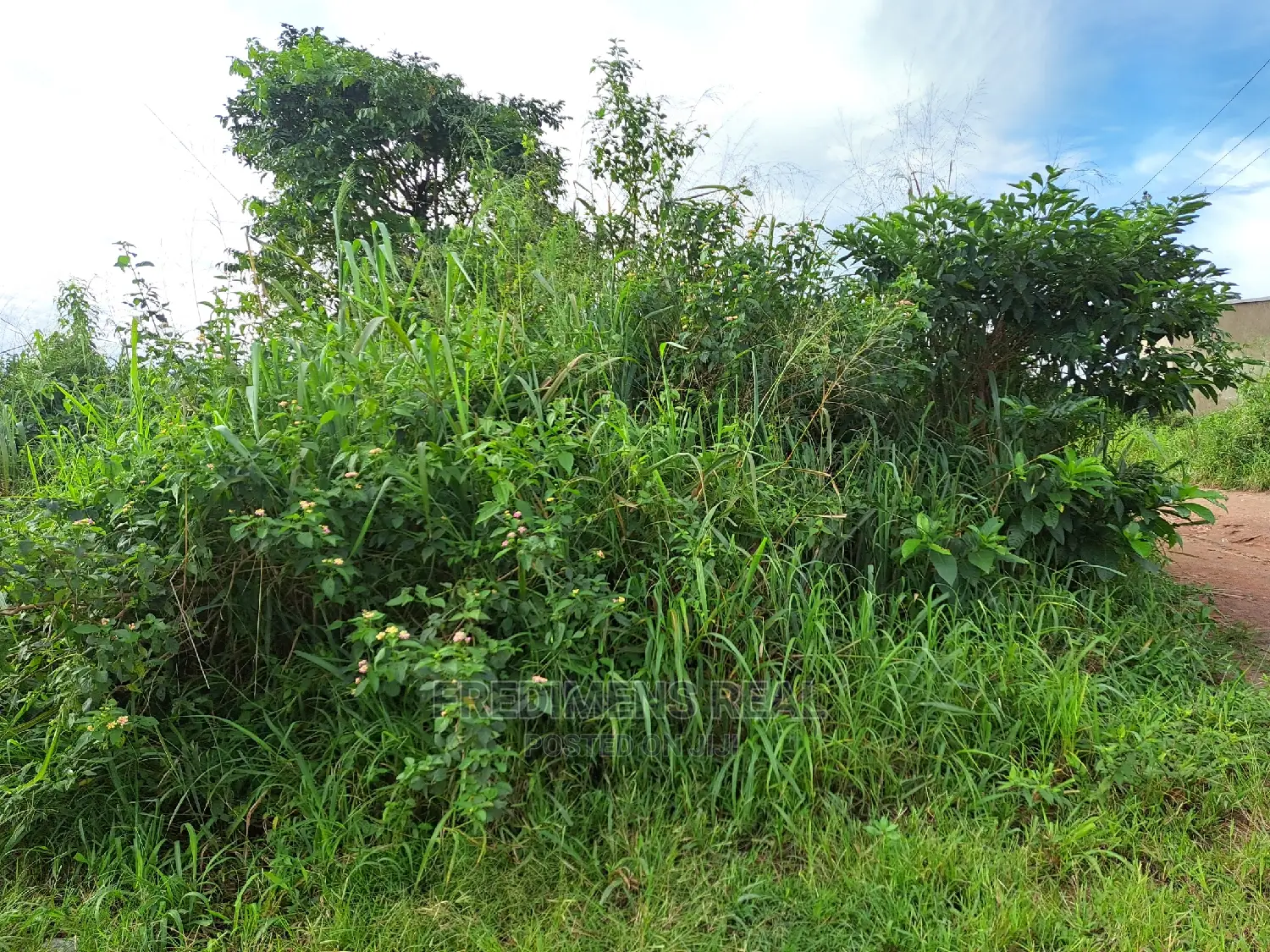 A Land at Antoa for Sale in Kumasi Metropolitan
