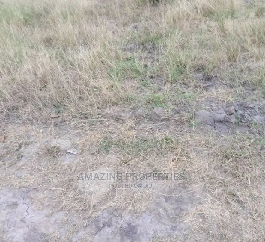 39 Acres of Title Land at Tse Addo in Tseaddo