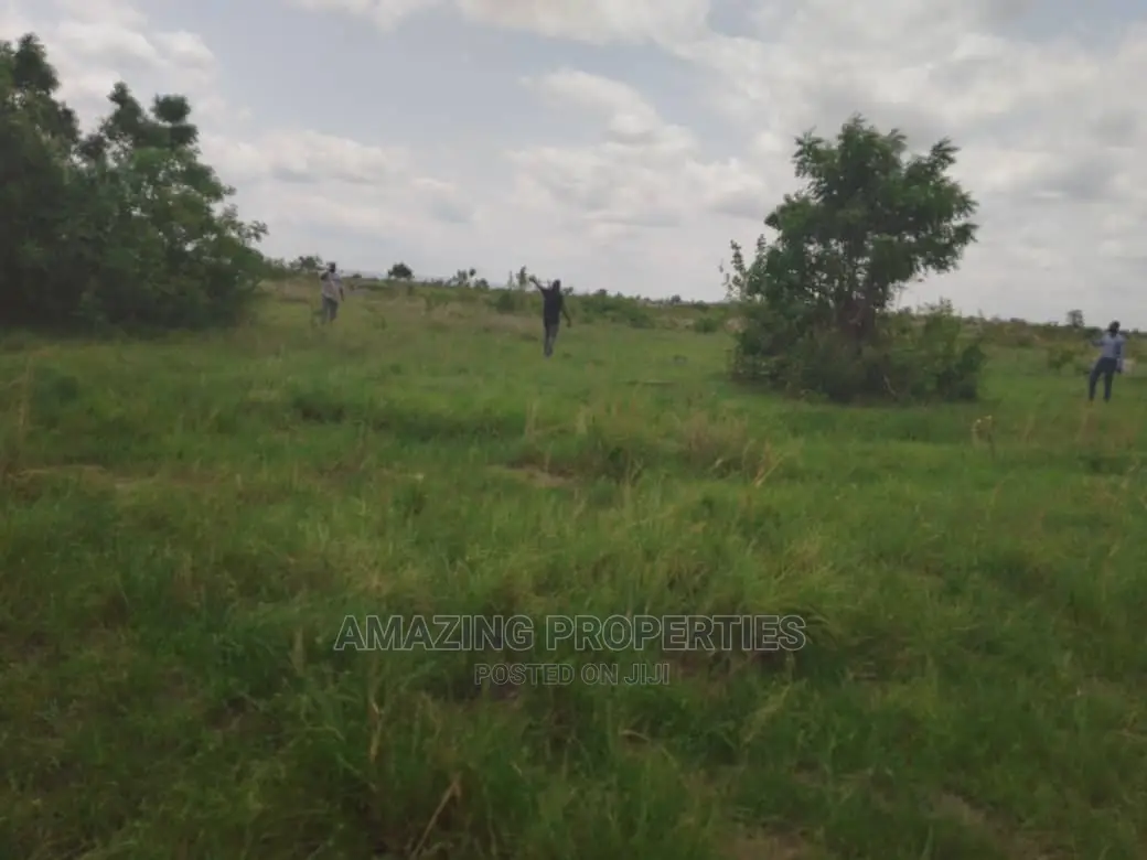 30acres of Registered Land for Sale at Dodowa, in Dodowa