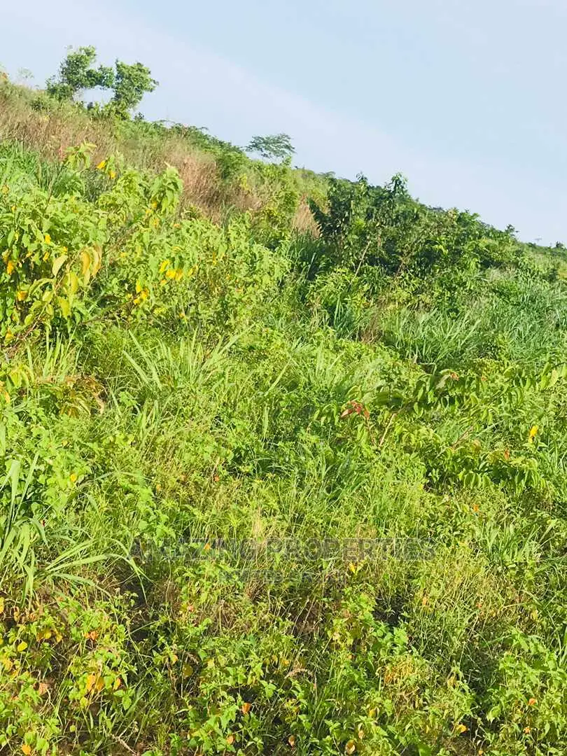 4plots (100/100) For Sale At Adjirigarnor in Adjiriganor