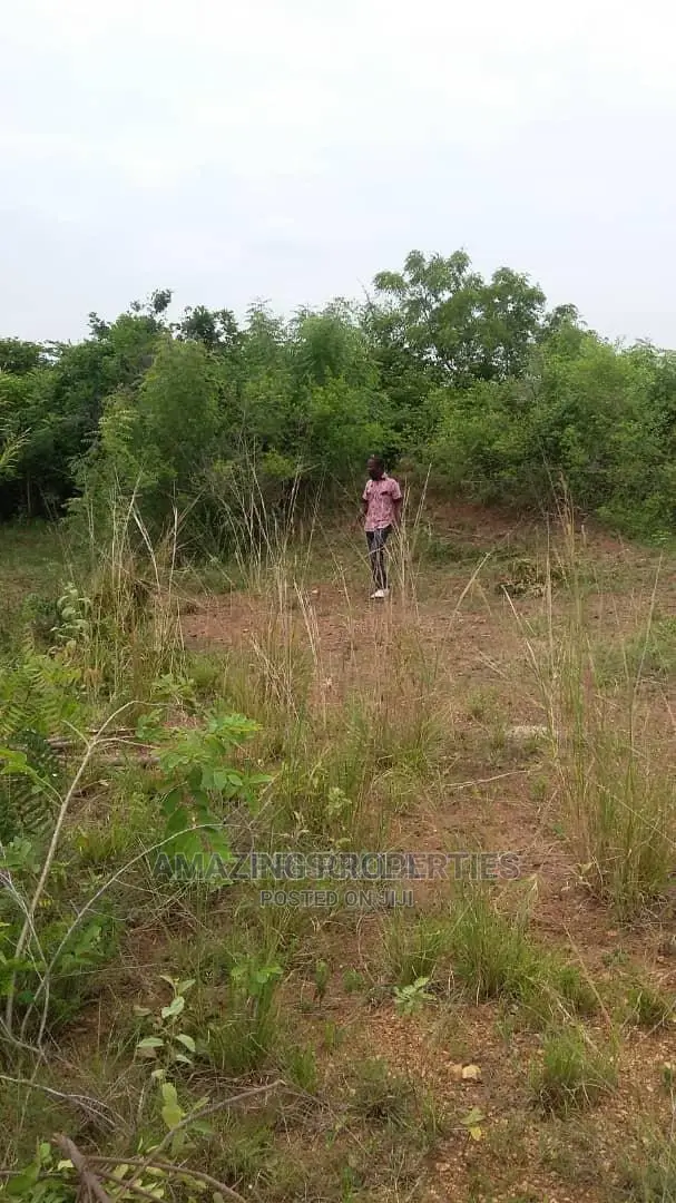 4plots (100/100) For Sale At Adjirigarnor in Adjiriganor