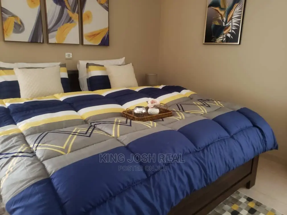 Fully Furnished 3 Bedroom House for Rent at East Airport in Regimanuel Gray Estates