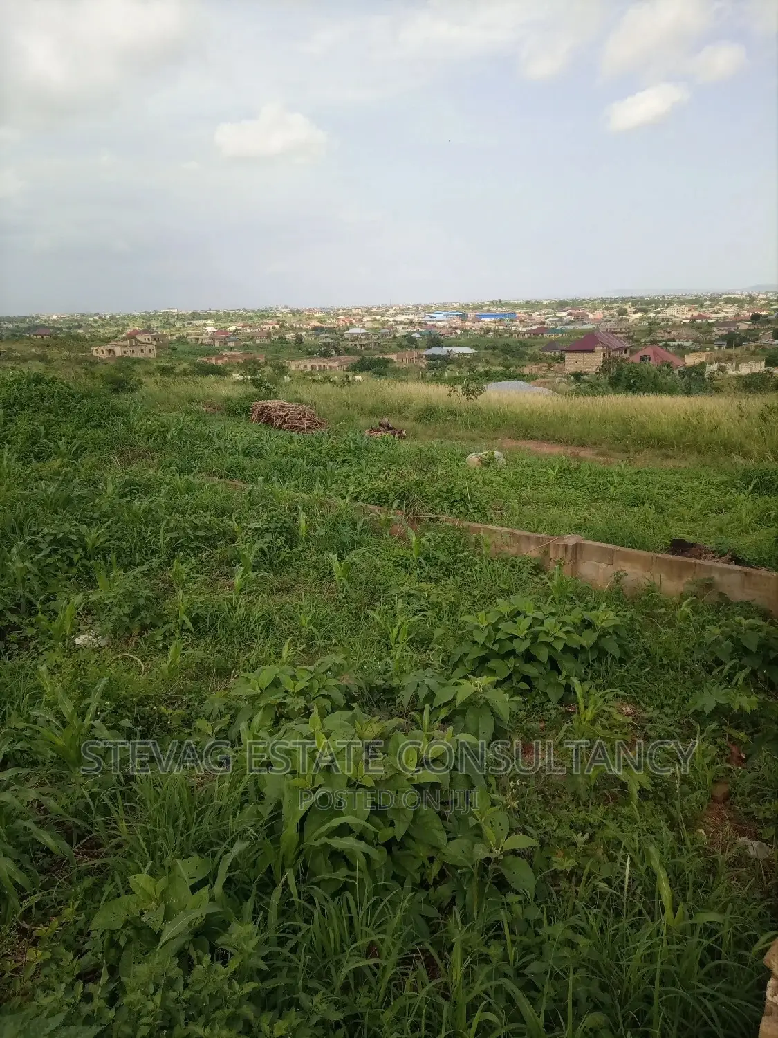 Alpha Properties Land for Sale at Winneba Campus View in Effutu Municipal