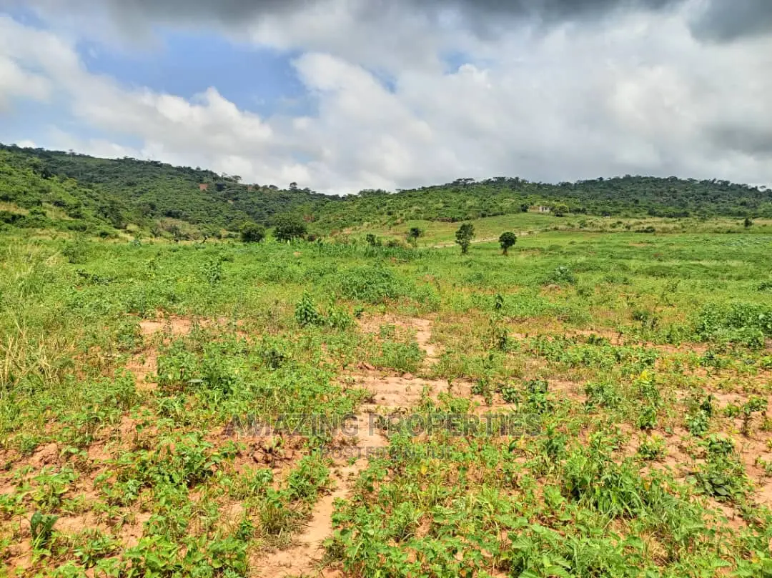 Ashiyie Opposite Regimanuel Estate 4,000 Acres (Titled) in Dodowa