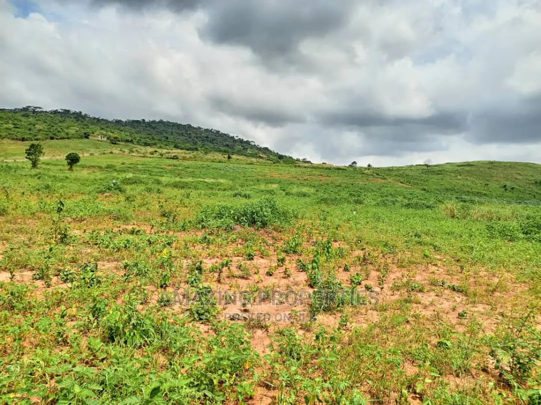 Ashiyie Opposite Regimanuel Estate 4,000 Acres (Titled) in Dodowa