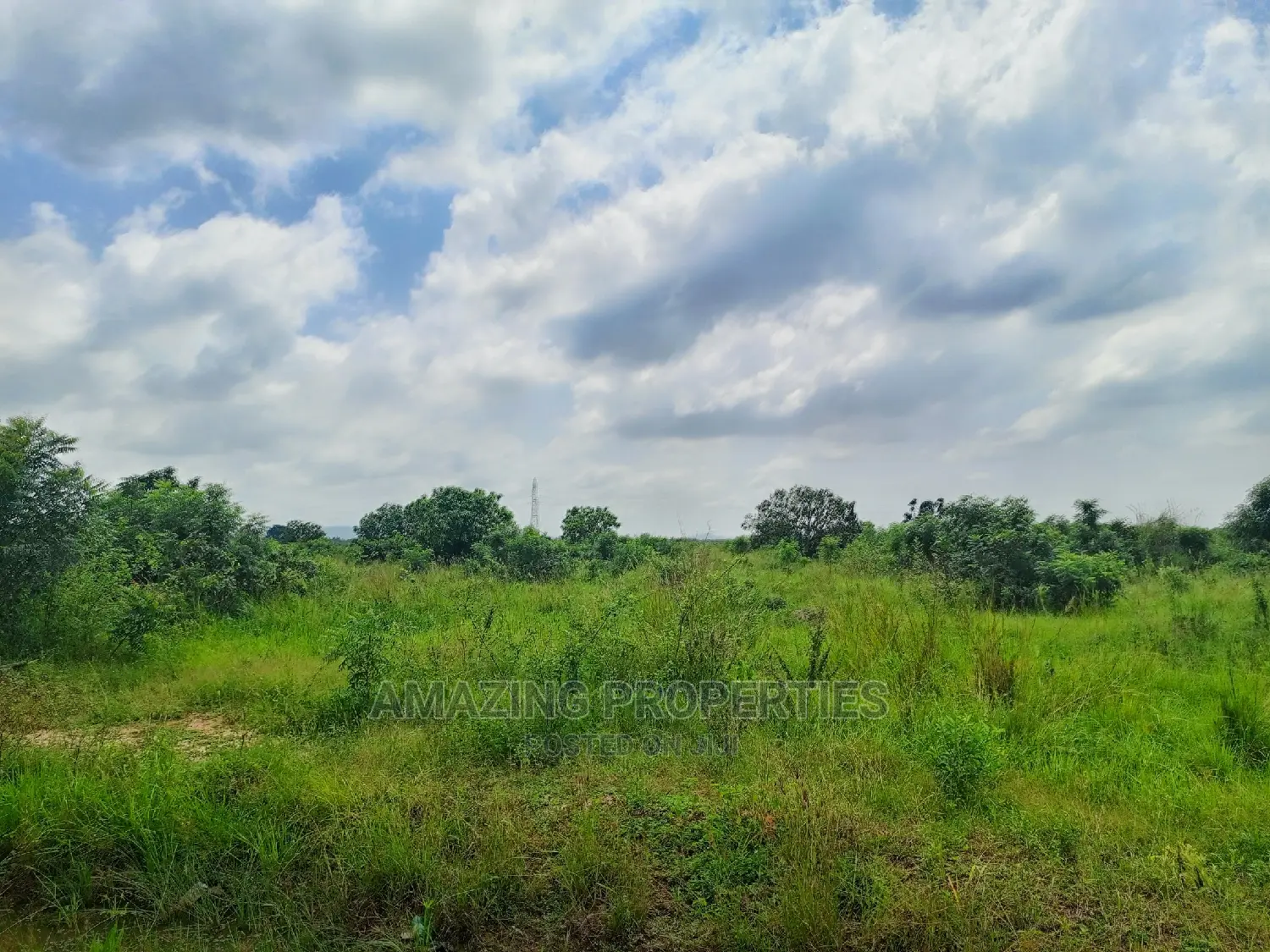 For Sale 200-500 Acres of Land at Agormeda Dodowa-Ayikuma in Dodowa