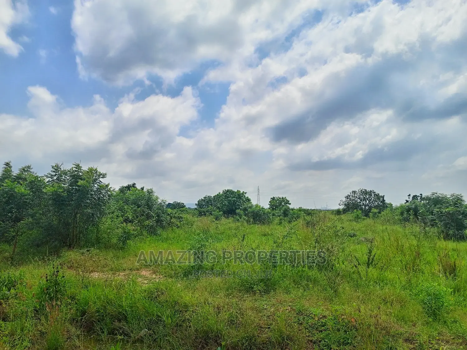 For Sale 200-500 Acres of Land at Agormeda Dodowa-Ayikuma in Dodowa
