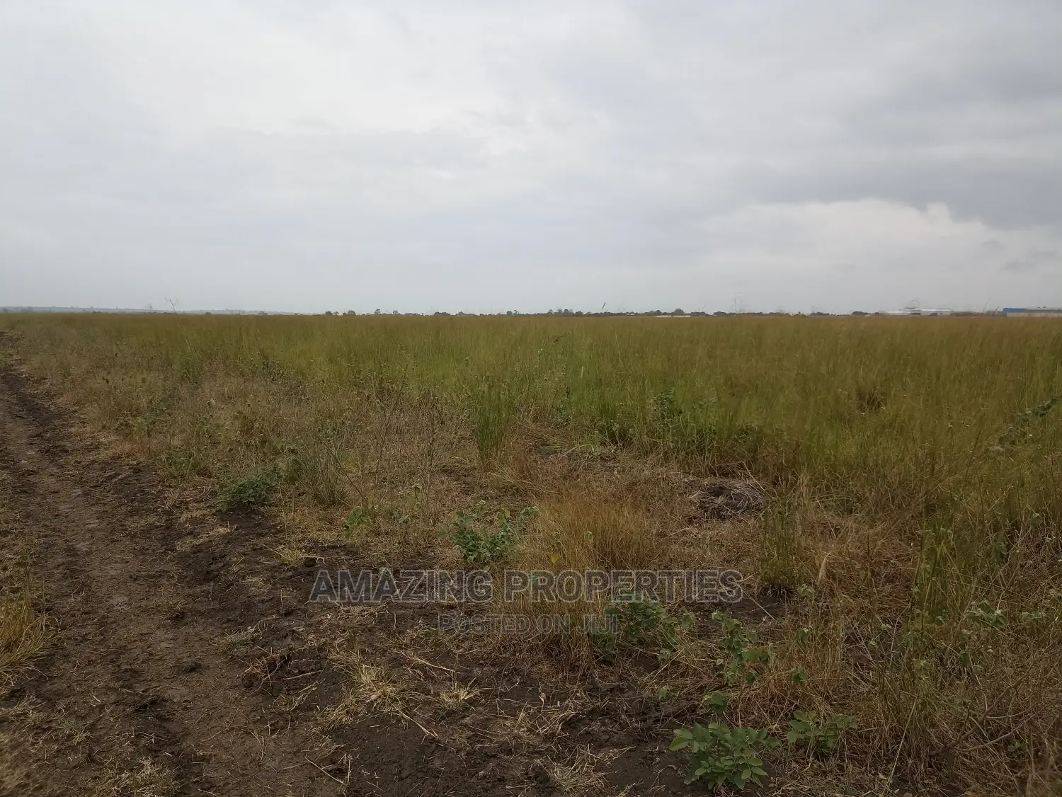 Land for Sale at Dawa in Tema Metropolitan