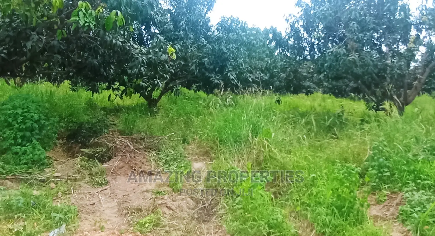 6 Plots of Land at East Legon Hills (Cancer Hosp) in East Legon