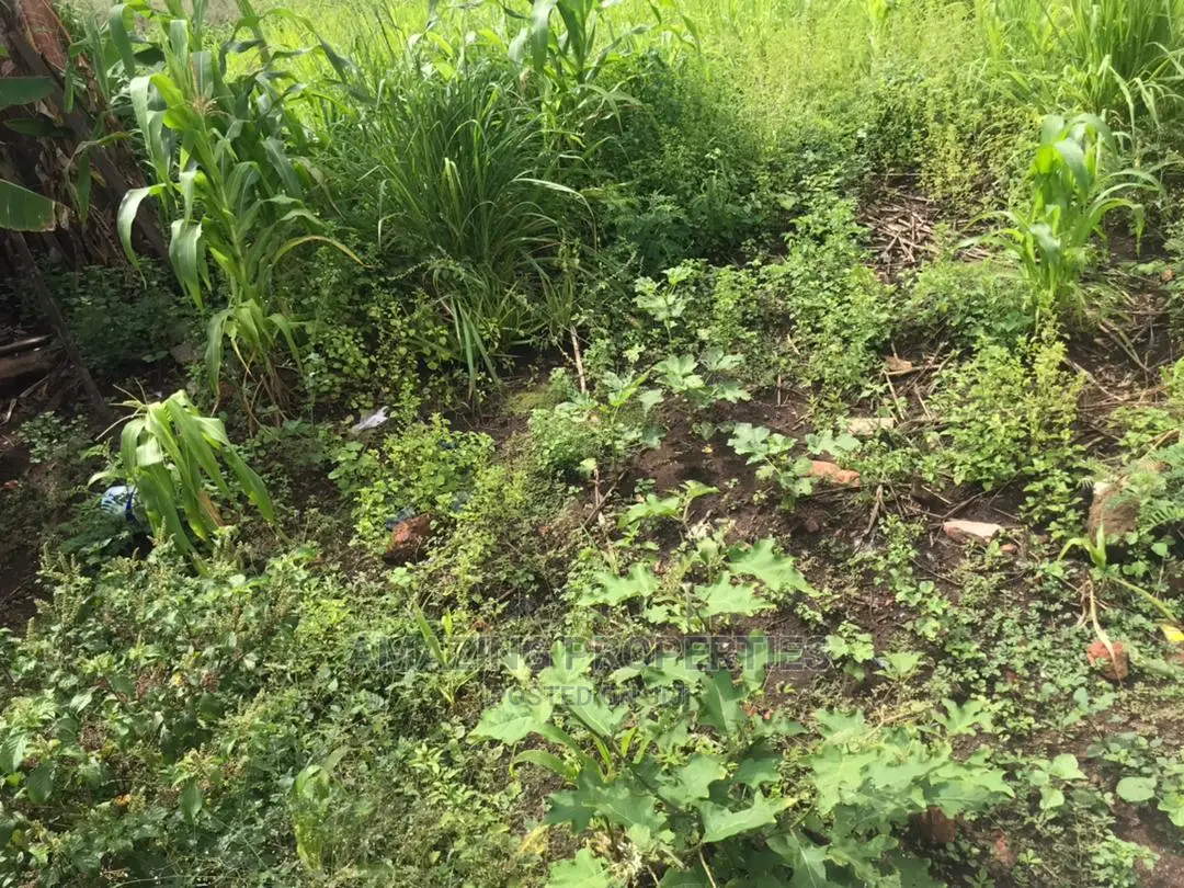 One Acre of Land at Tse Addo Round in Airport Residential Area