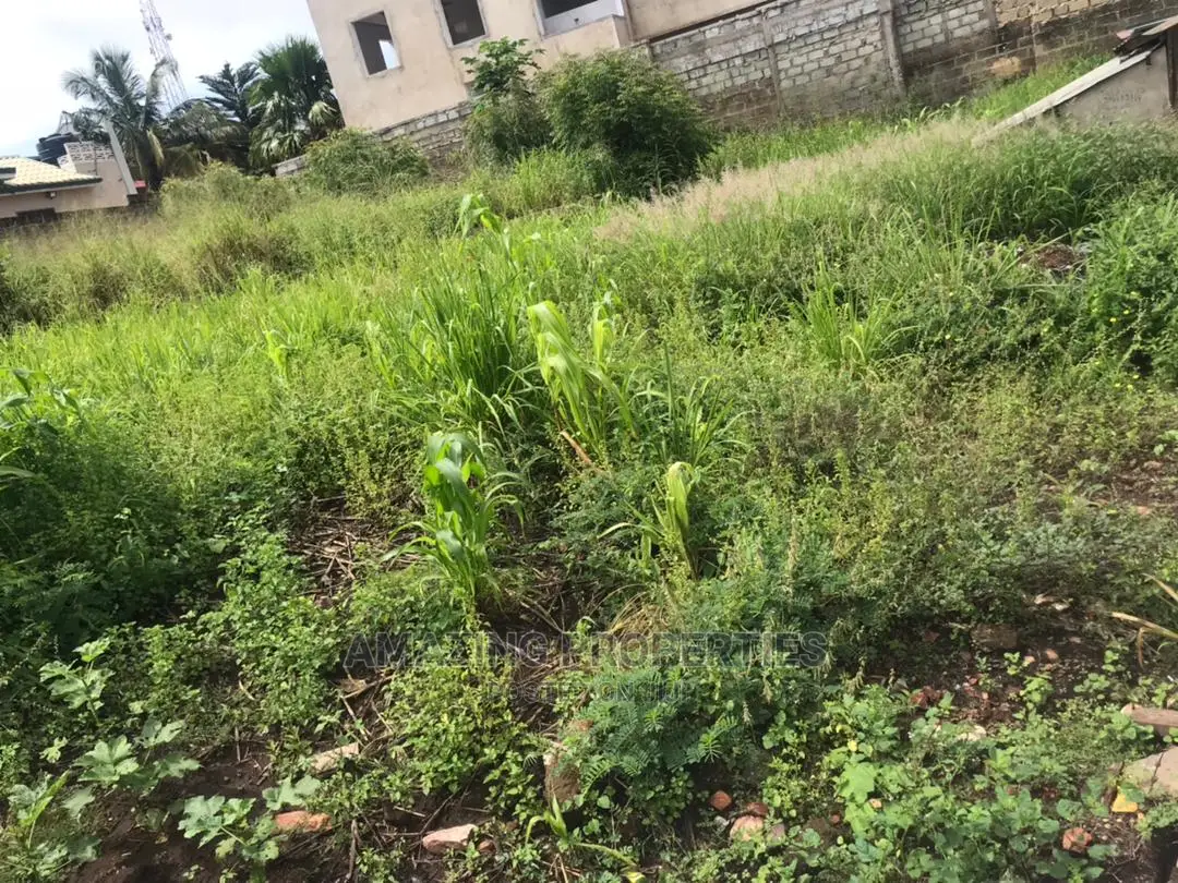 One Acre of Land at Tse Addo Round in Airport Residential Area