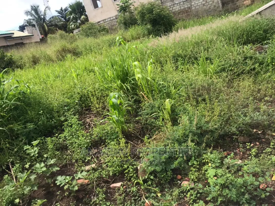 One Acre of Land at Tse Addo Round in Airport Residential Area