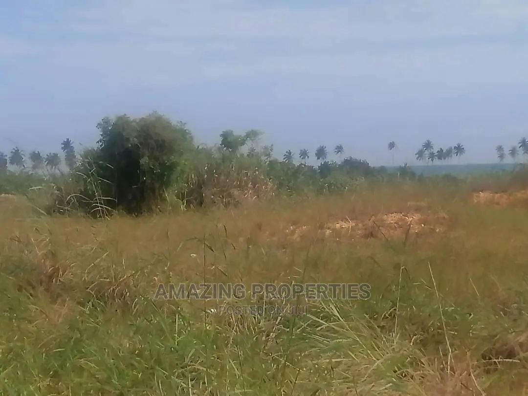 31 Acres. 
Botwe Zoom Lion Main Road Price $45,000 Per Plot in Ashaley Botwe
