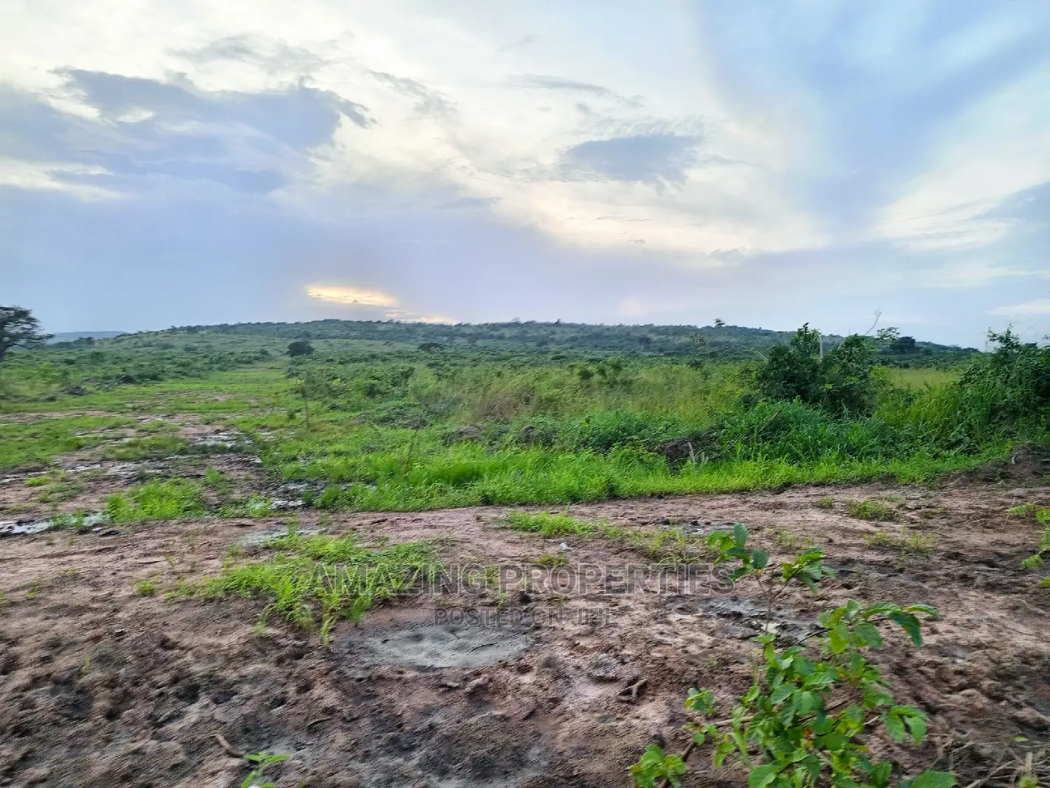 1700 Acres of Main Roadside Land for Sale at Dodowa in Dodowa