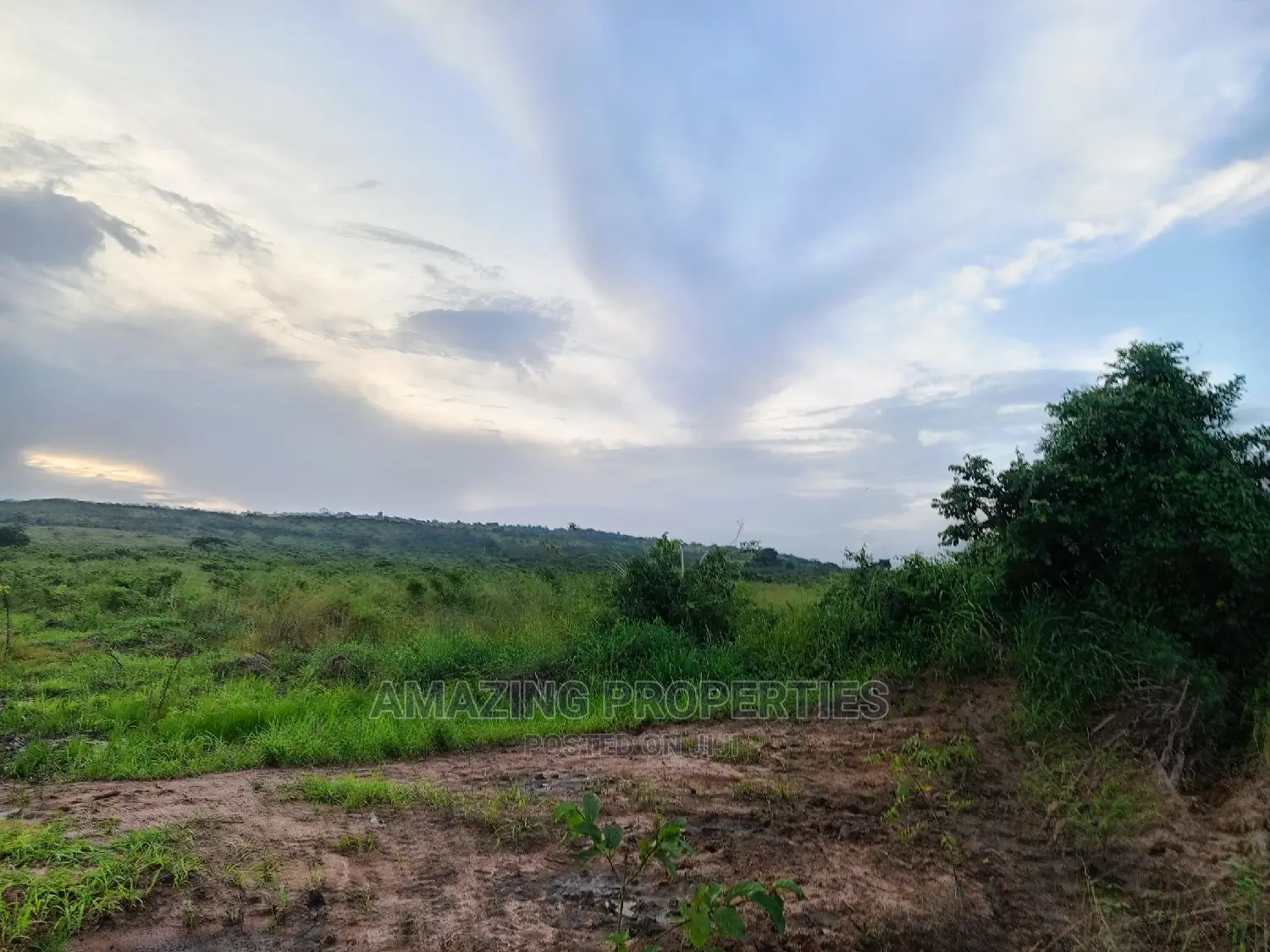1700 Acres of Main Roadside Land for Sale at Dodowa in Dodowa