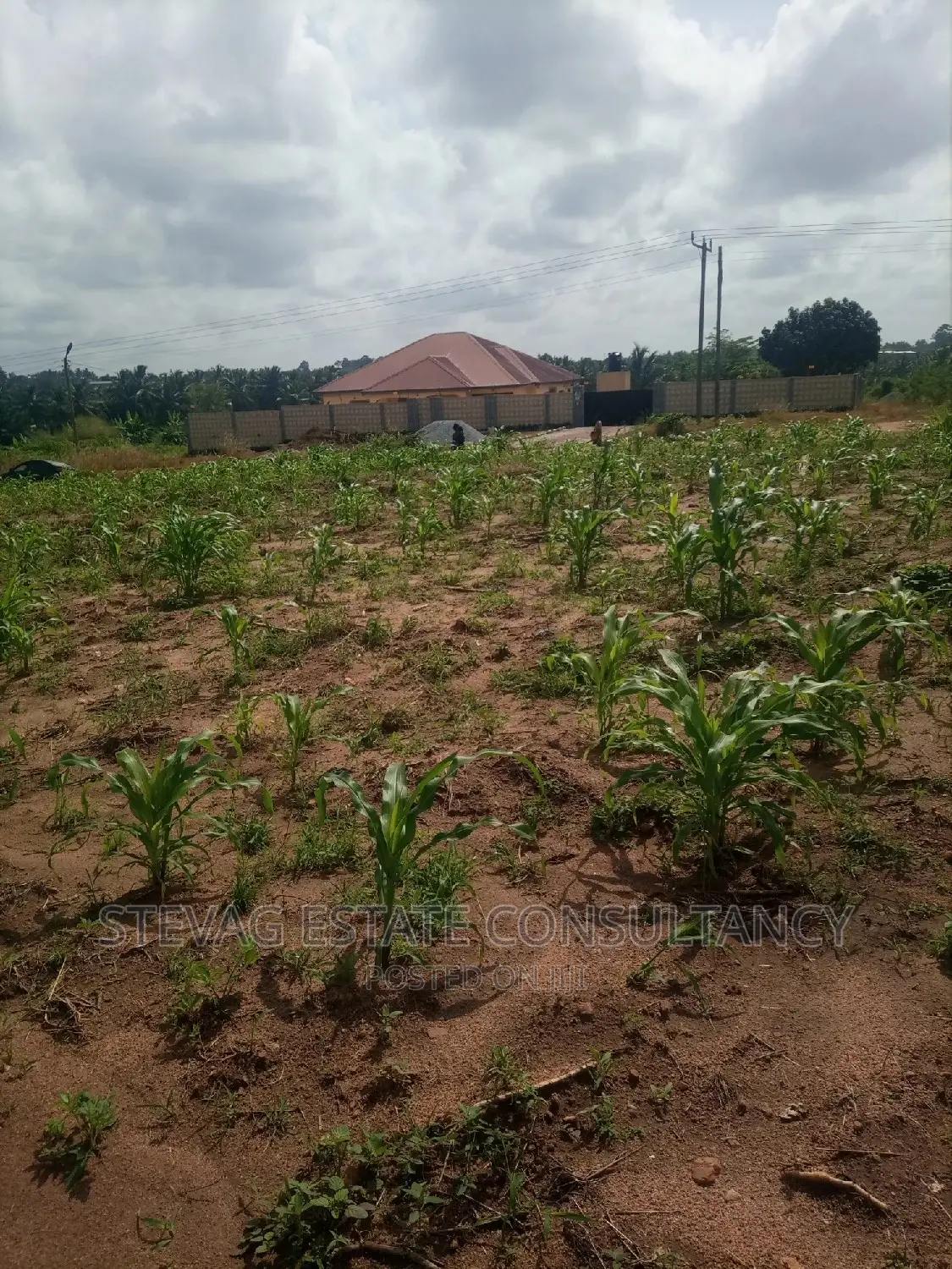 A Real Estate Land for Sale at Kasoa Adawukwa in Awutu Senya West