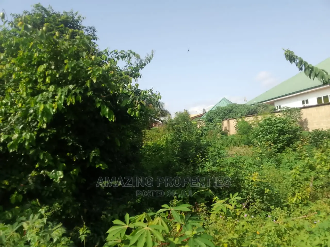 Over 1,000 Acres Titled Land Extended to Dodowa in Dodowa