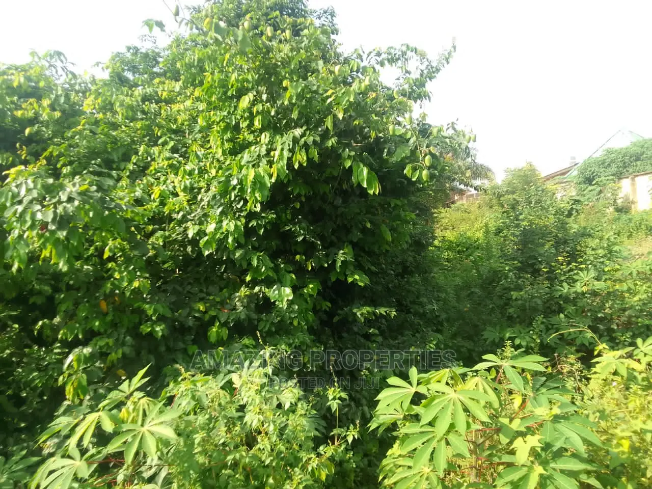 Over 1,000 Acres Titled Land Extended to Dodowa in Dodowa