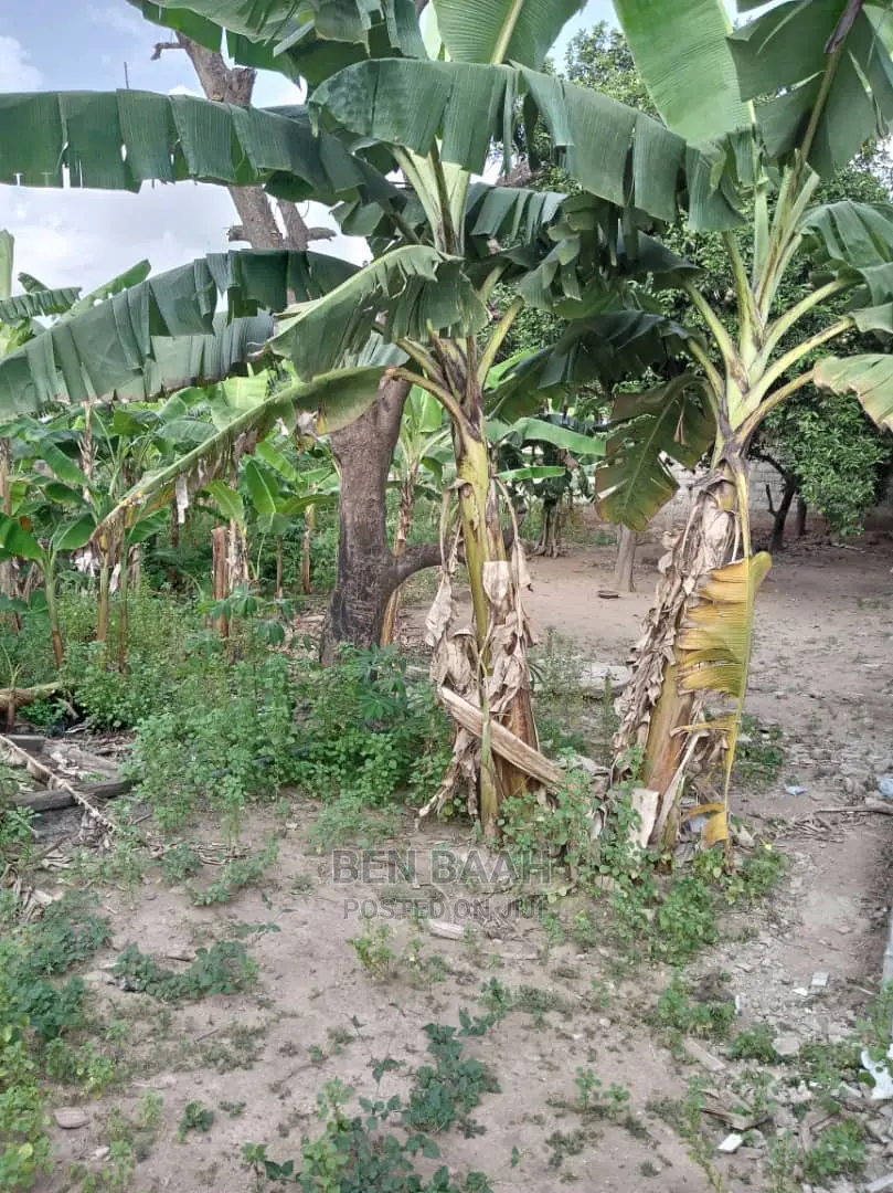 A Plot of Land at Agbogba for Sale Title 600,000 in Agbogba