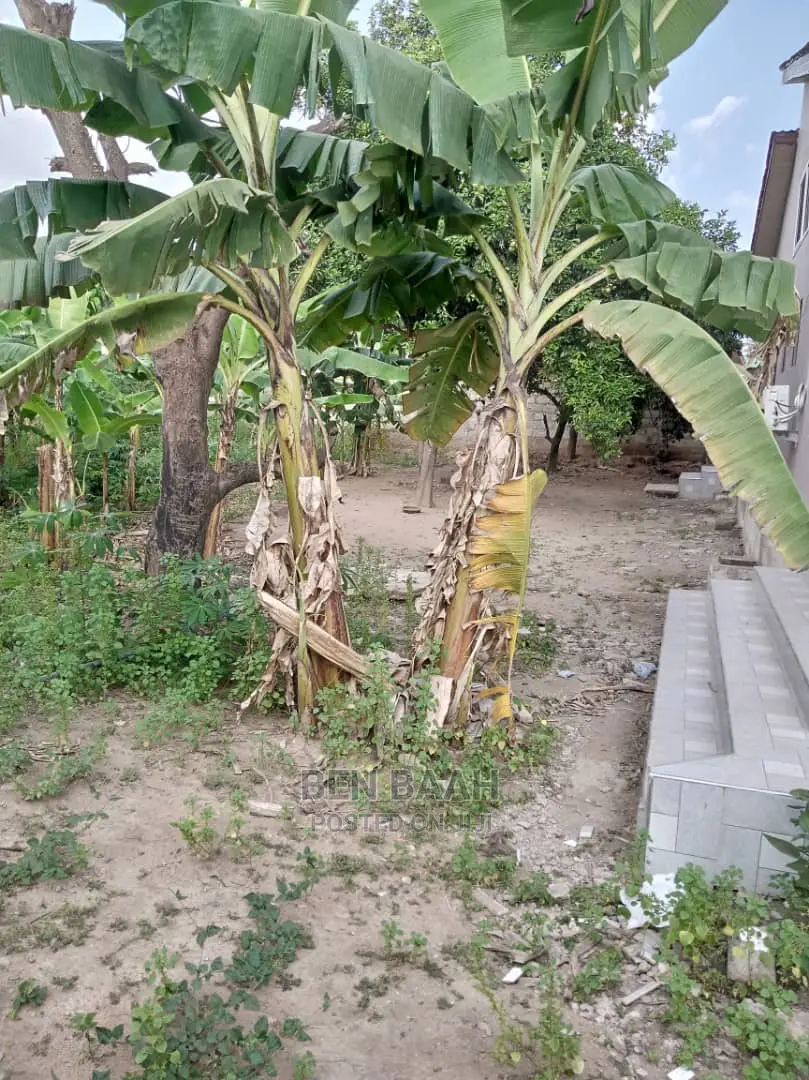 A Plot of Land at Agbogba for Sale Title 600,000 in Agbogba