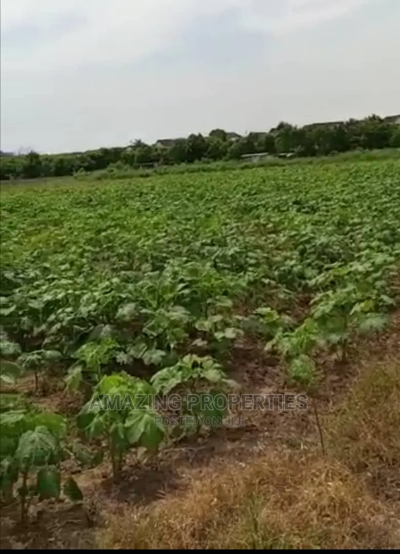8 Acres of Land for Sale at Airport Police in Airport Residential Area