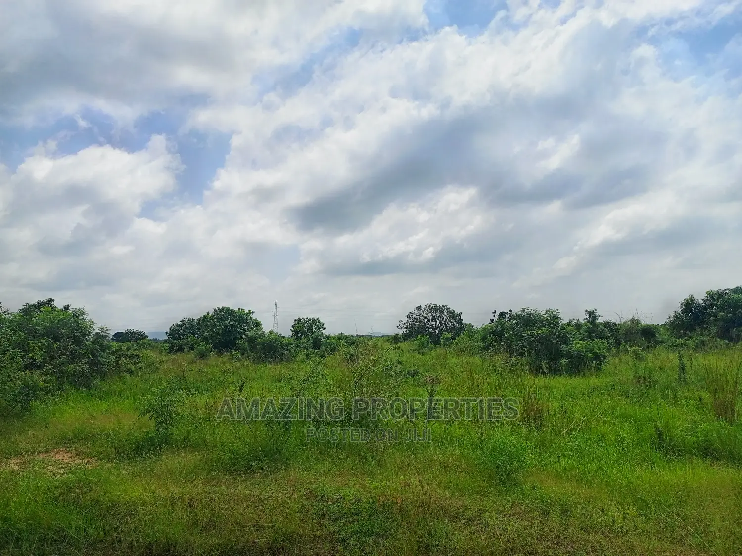 Asutuare Land for Sale.* 
2000 Acres of Title Registrations in East Akim Municipal