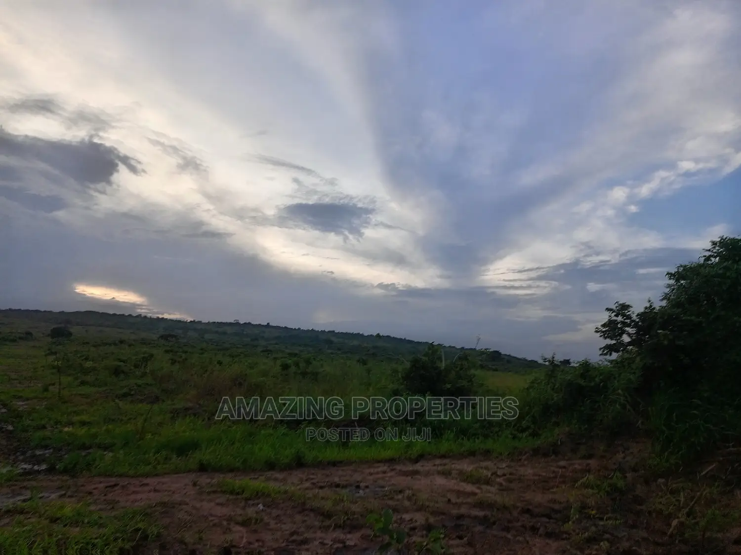 Asutuare Land for Sale.* 
2000 Acres of Title Registrations in East Akim Municipal