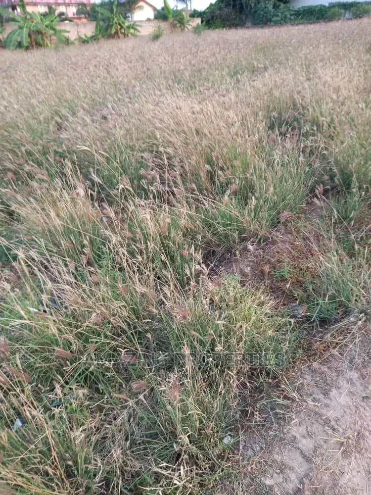 10 000 Acres of Land at Shai Hills in Dodowa