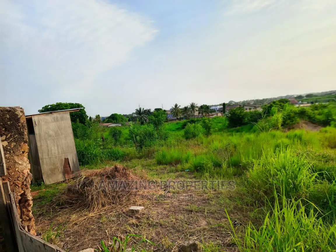 5 Acres of Land at Roman Ridge in Roman Ridge