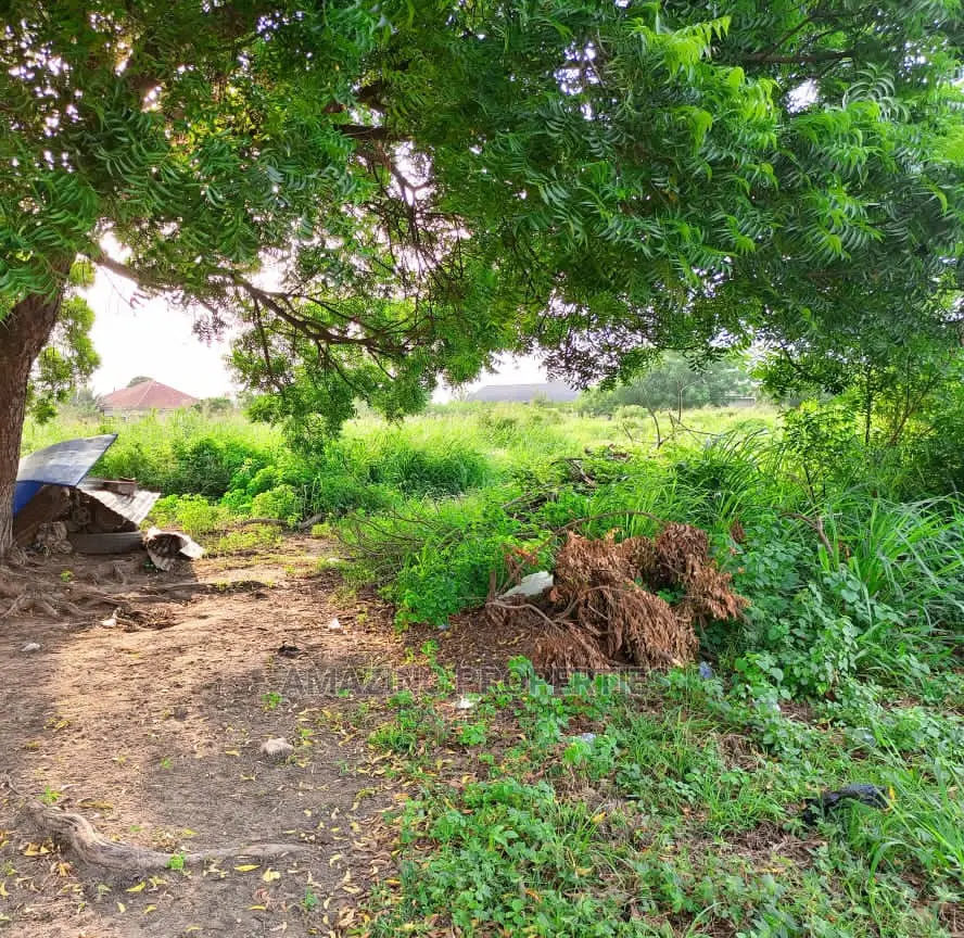 1000 Acres of Titled Land at Oyibi in Oyibi