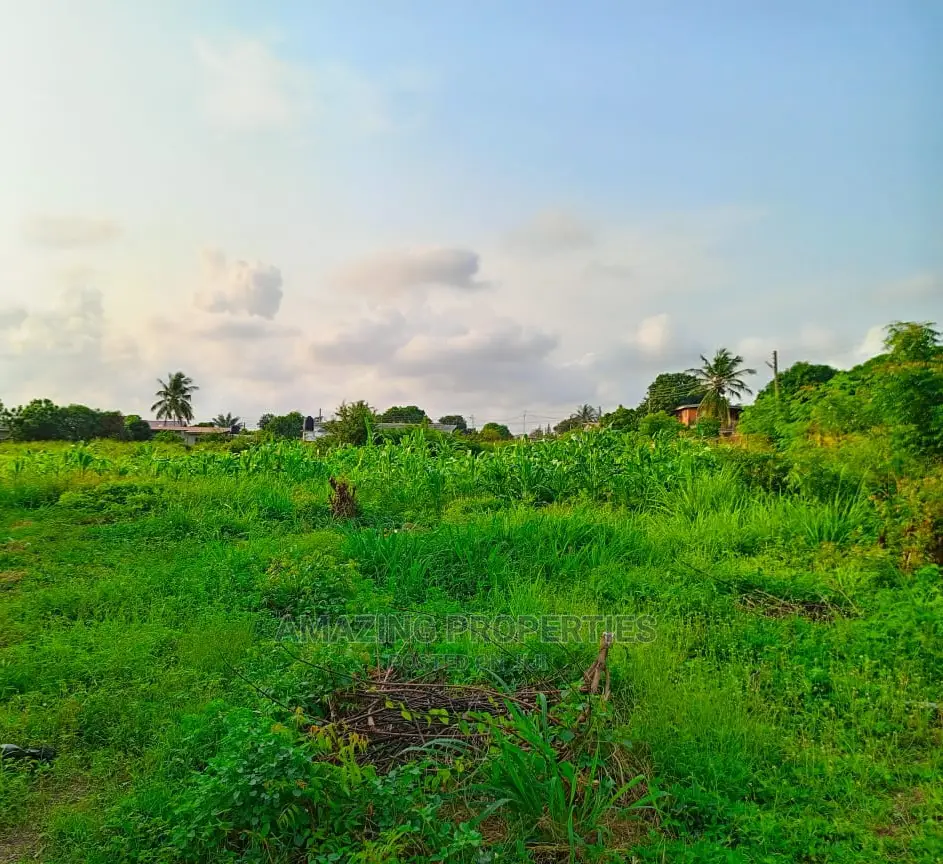 1000 Acres of Titled Land at Oyibi in Oyibi