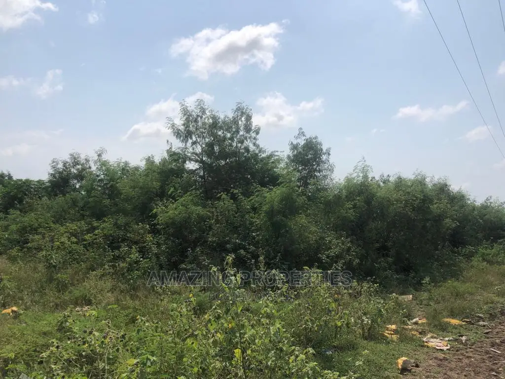8 Plots of Land at McCarthy Hills in McCarthy Hill