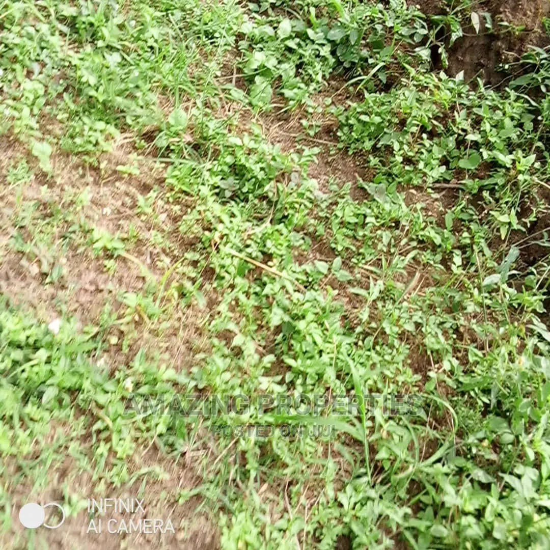2 Plots of Land for Sale at Peduase Lodge, in East Akim Municipal