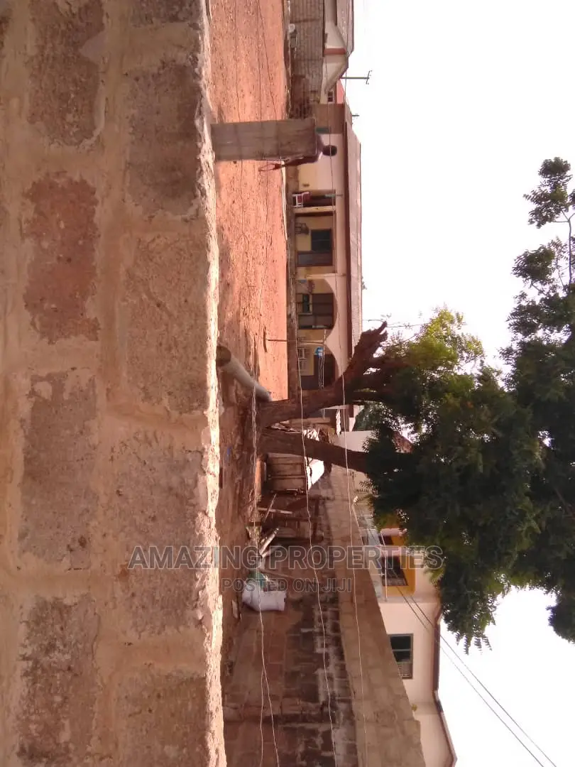 2 Plots of Land at Teshie Tebibiano in Teshie