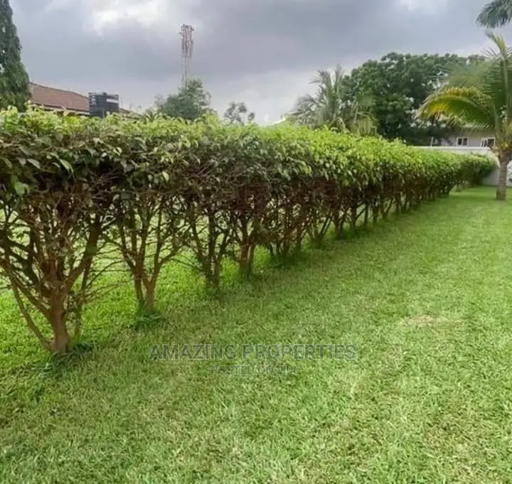 Registered/Titled Plot Available for Sale in East Legon