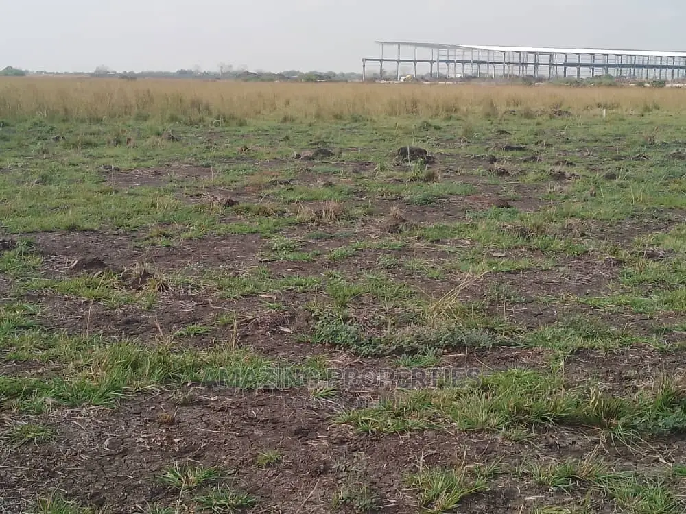 100acres of Serviced Plots of Land for Sale Tema Aflao in Tema Metropolitan