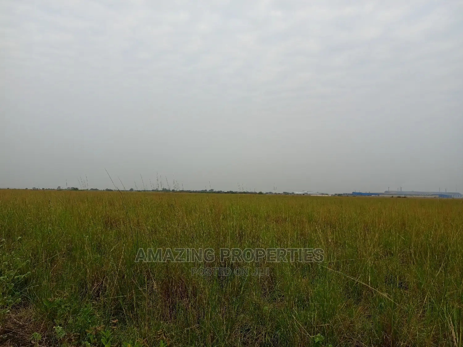 50 Acres of Land for Sale Central University Before B5 in Tema Metropolitan