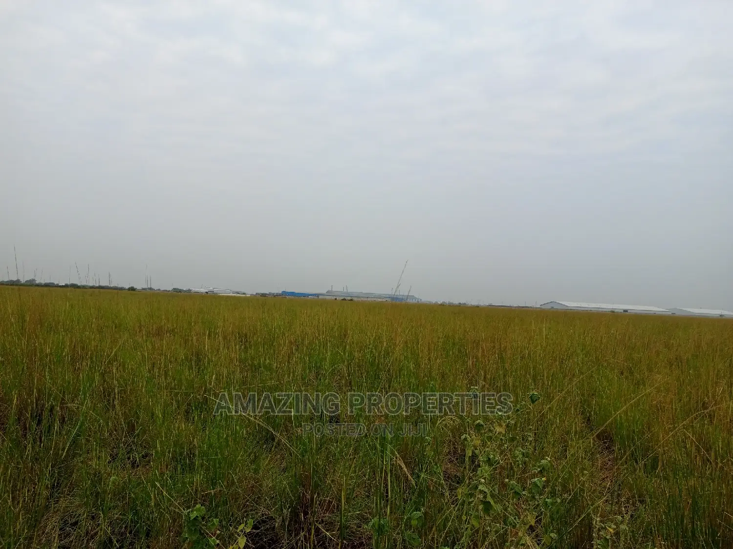 50 Acres of Land for Sale Central University Before B5 in Tema Metropolitan