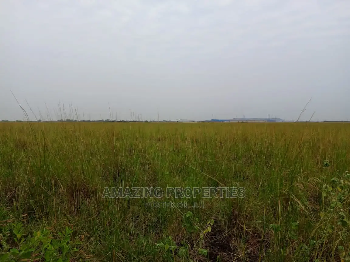 3000 Acres of Farm Land at Juapong in Asuogyaman