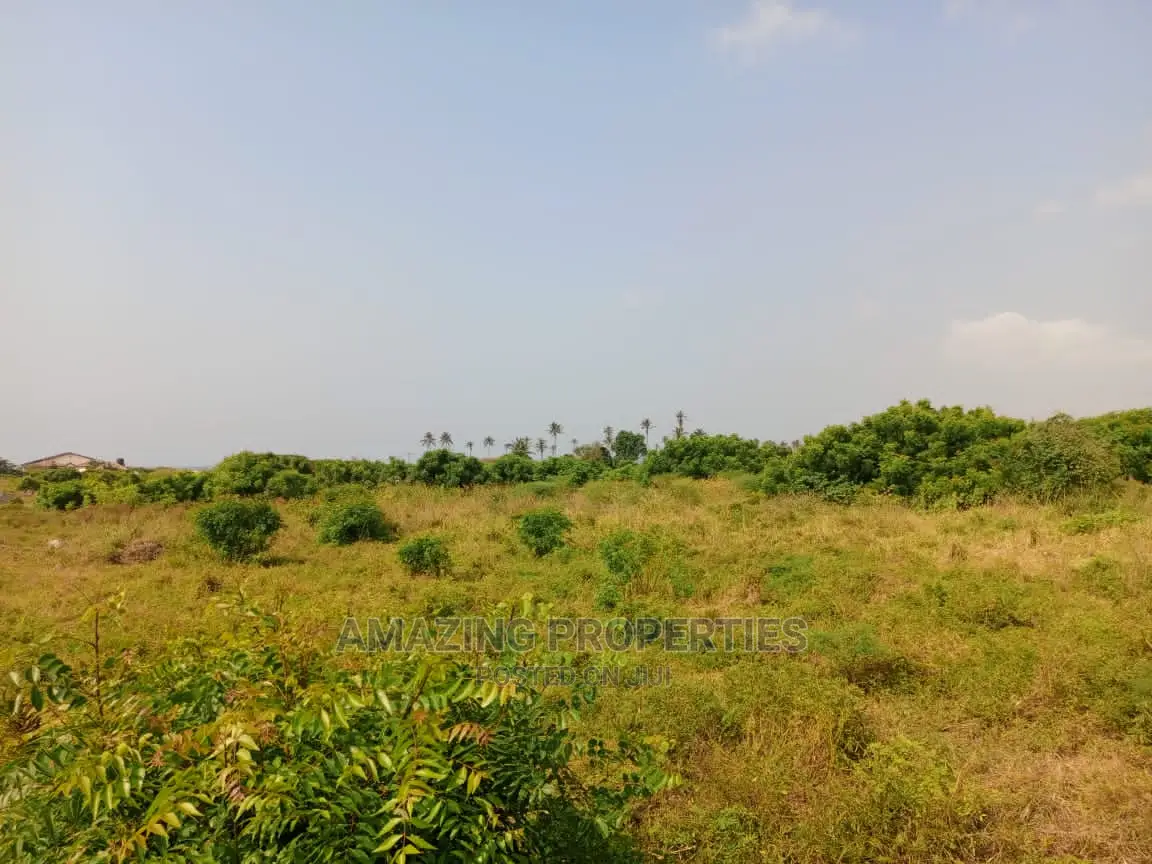 3000 Acres of Farm Land at Juapong in Asuogyaman