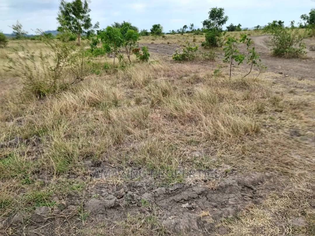 10 Acres of Land at Dawenya in Tema Metropolitan
