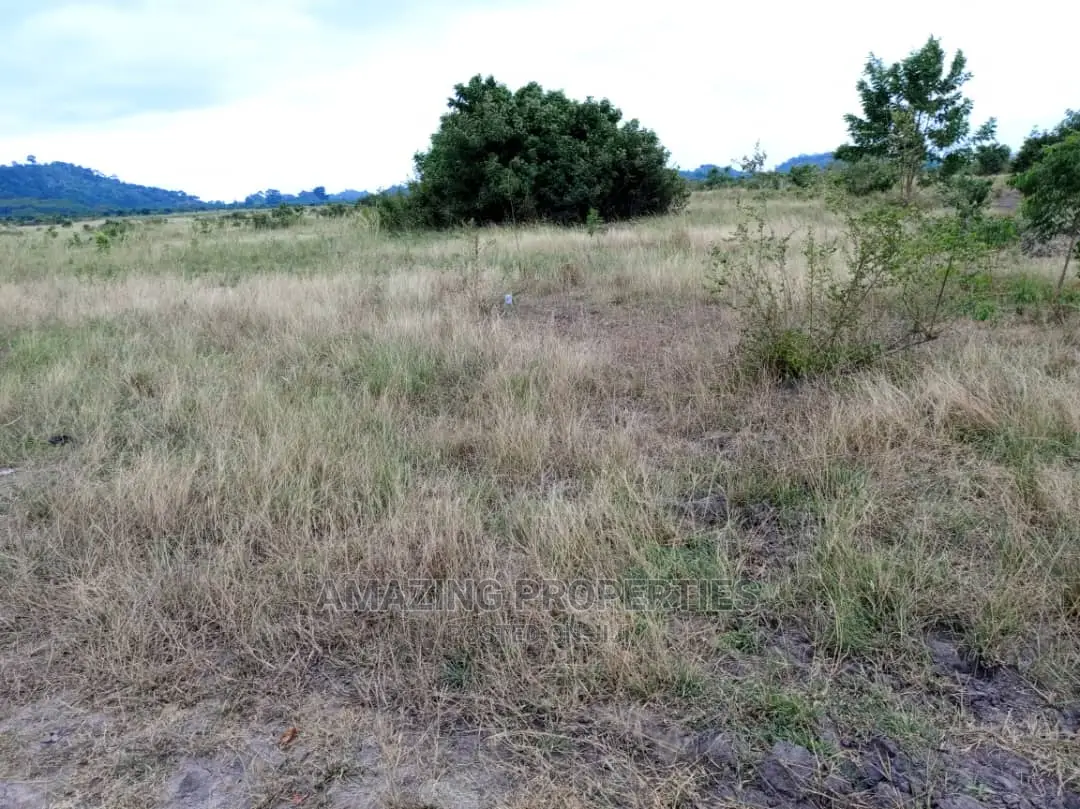 10 Acres of Land at Dawenya in Tema Metropolitan