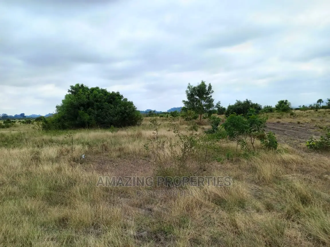 1.59 Acres of Land at Ayi Mensah in Abokobi