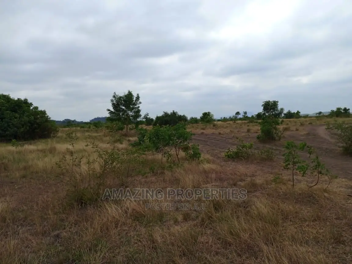 1.59 Acres of Land at Ayi Mensah in Abokobi