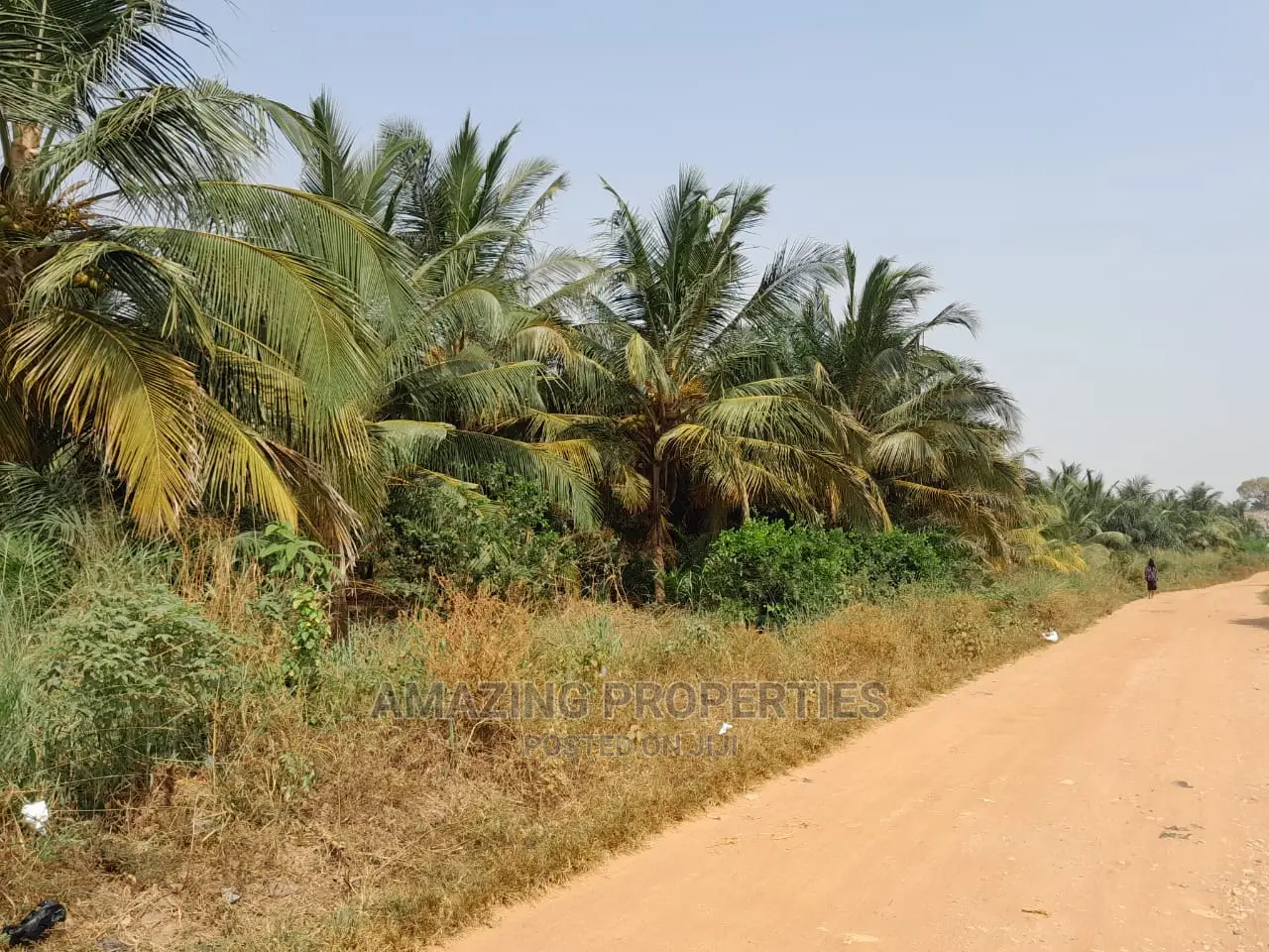 10 Plots of Land at Community 25 in Tema Metropolitan