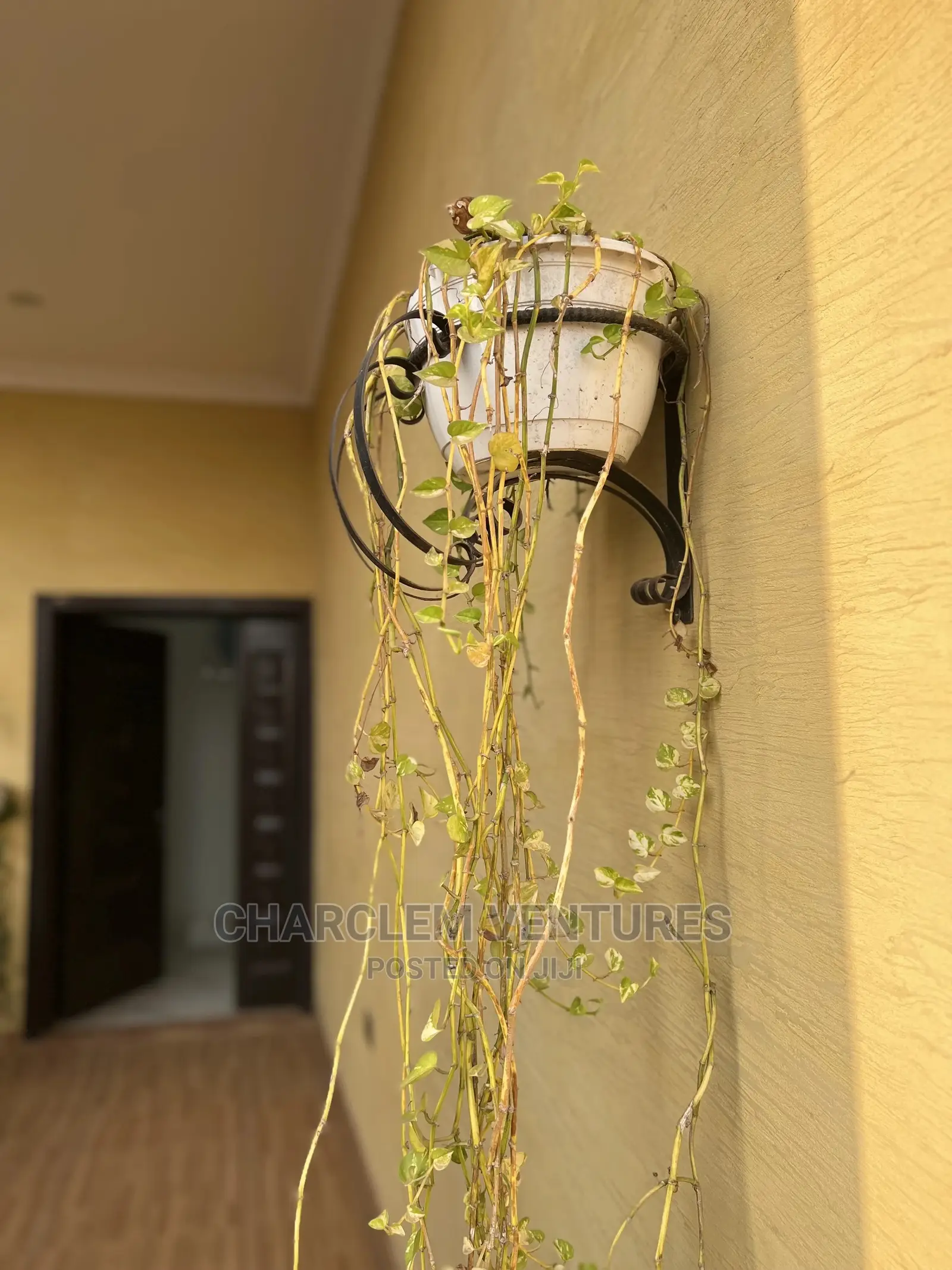 Furnished 5bdrm House in Charclem Ventures, East Legon for Sale in East Legon